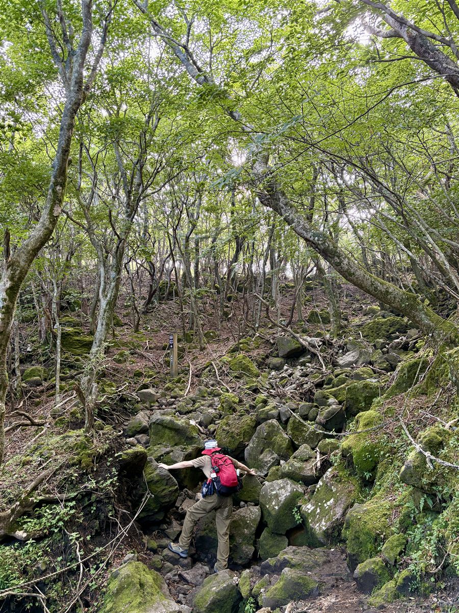 石がゴロゴロした雨ヶ池への登山道を登る様子