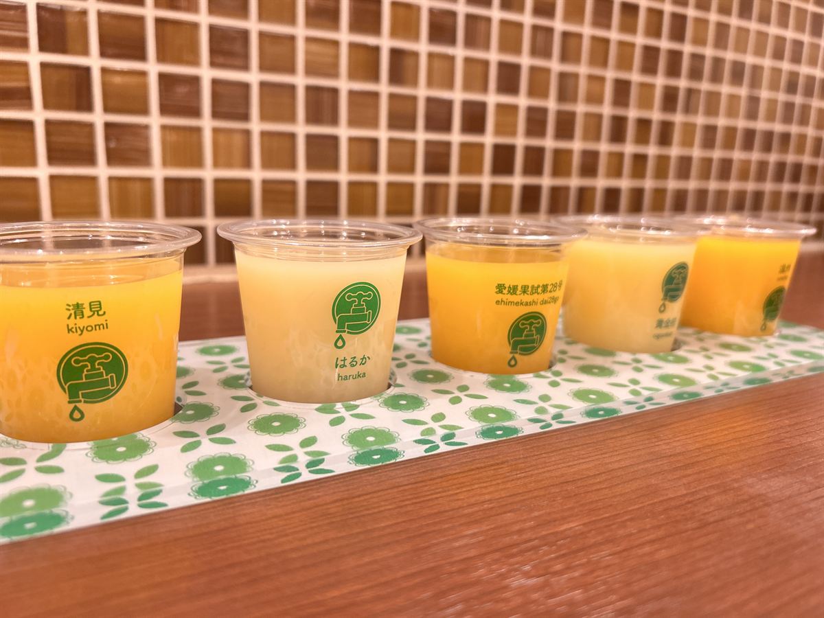 品種別のかんきつジュースの飲み比べ