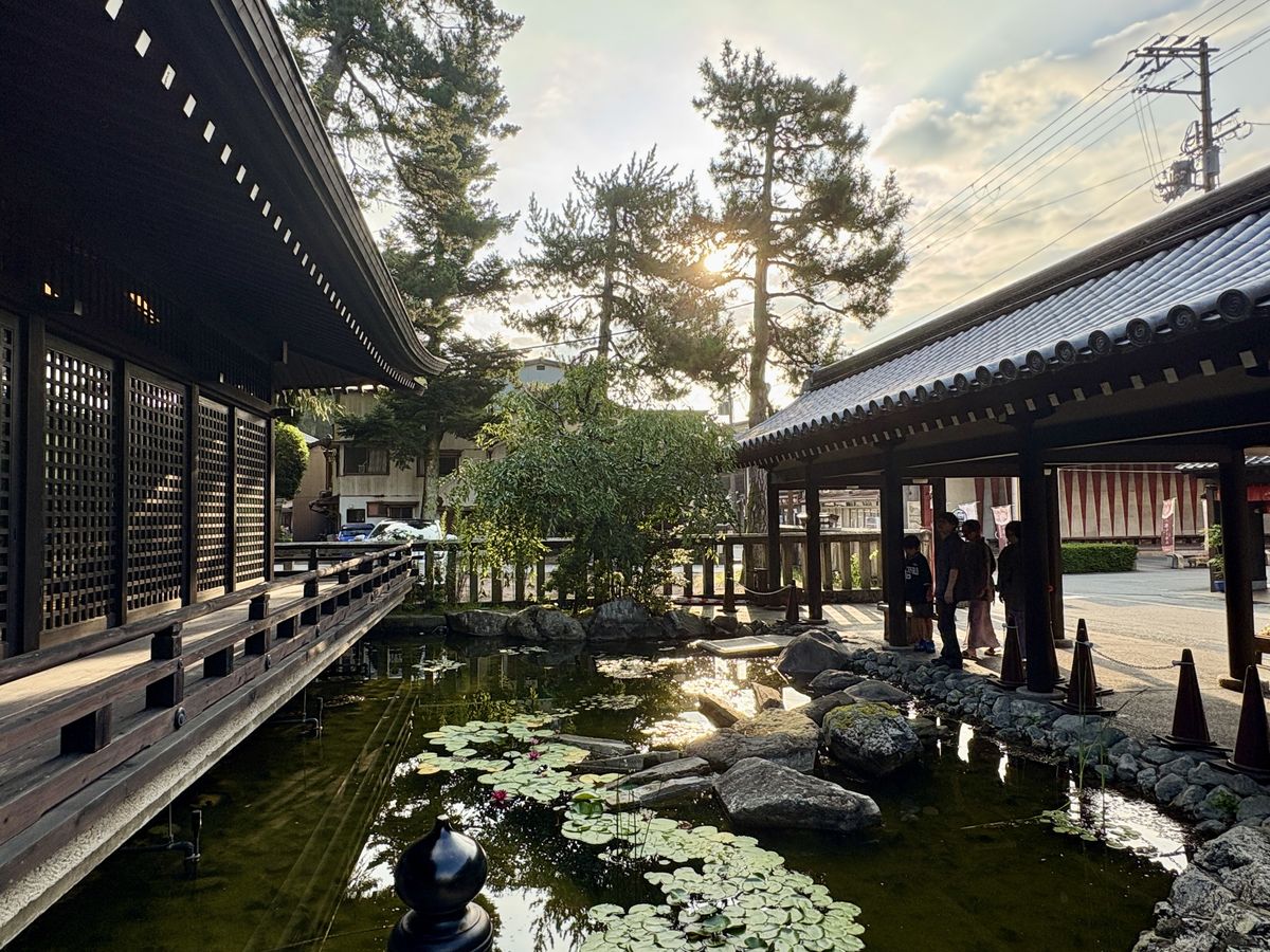 御所の湯の入口横の池と蓮の花