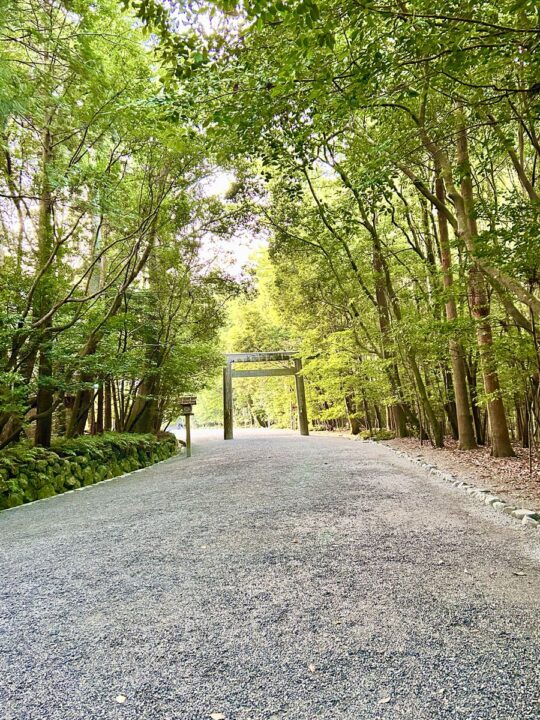 朝の光が差し込む伊勢神宮内宮の参道