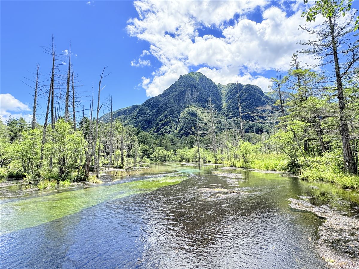 エメラルド色の岳沢湿原