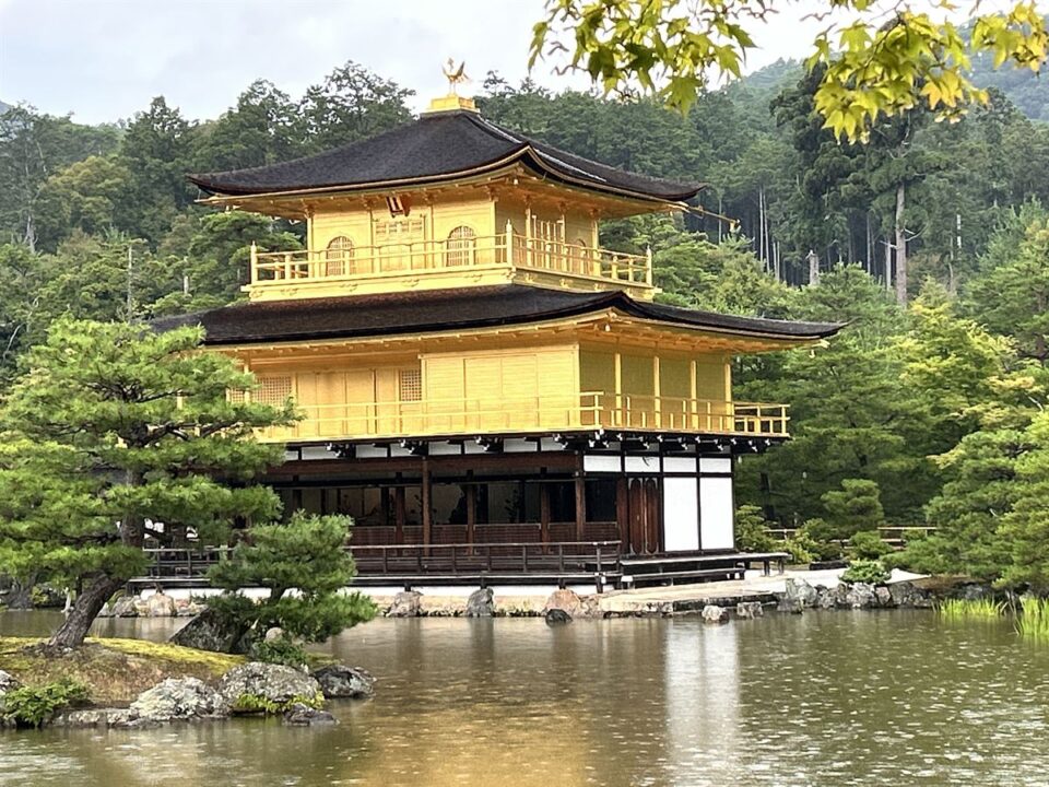 池越しに見る金閣寺