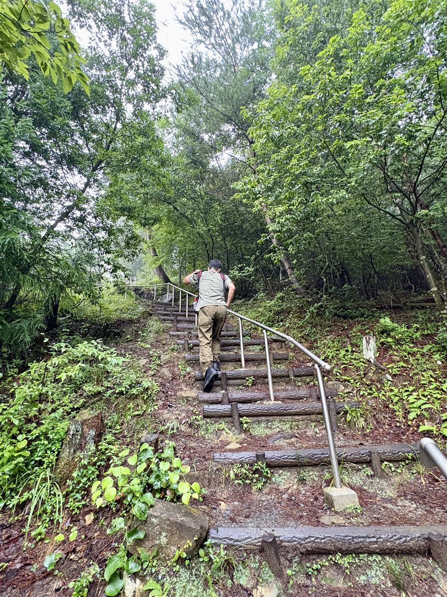 立雲峡の階段が続く登山道