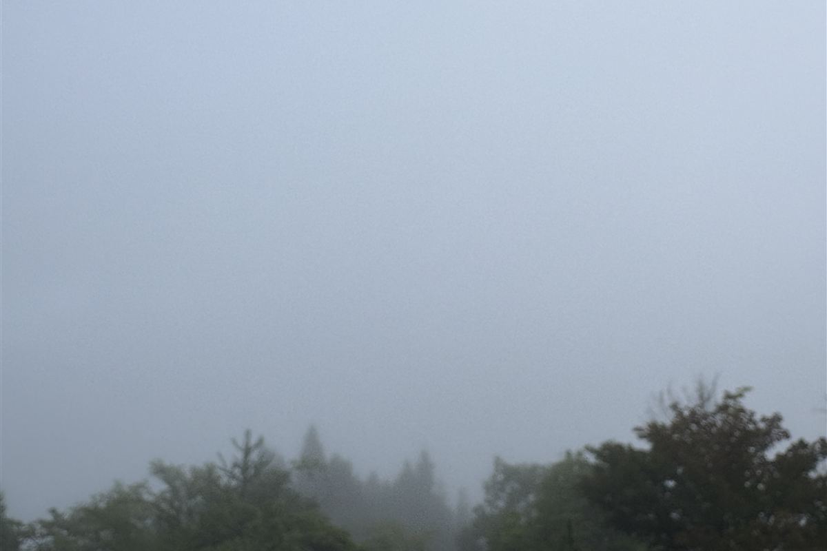 立雲峡テラスから見た一面の霧