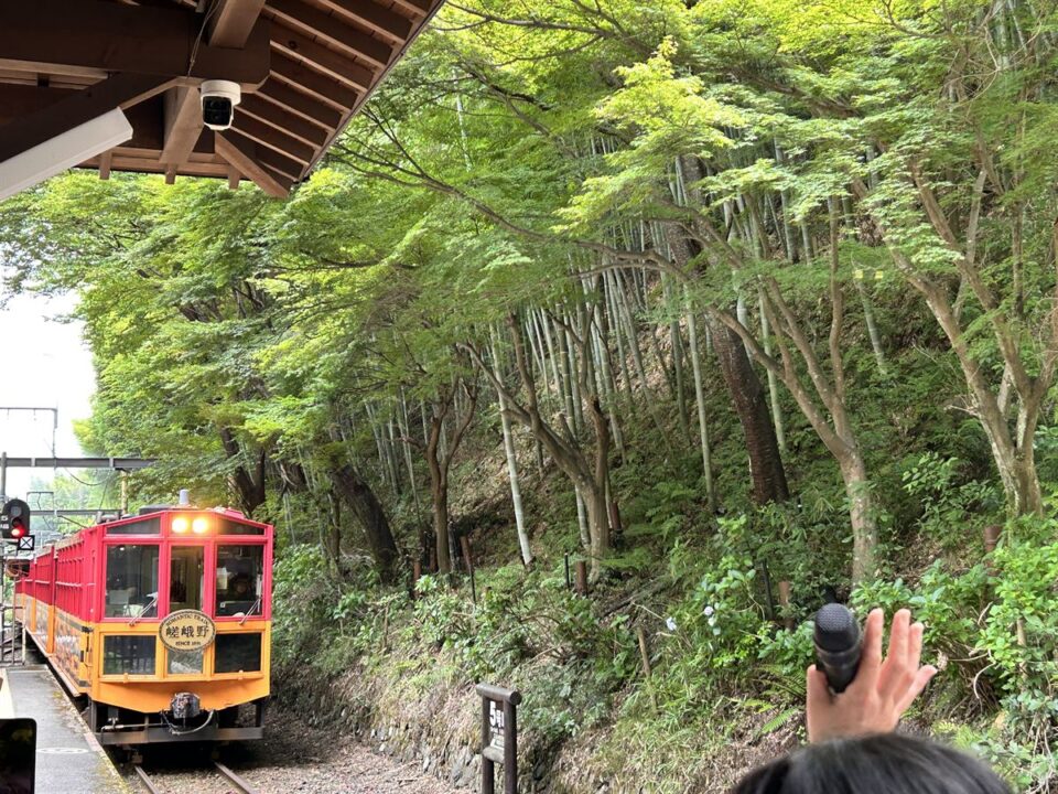 トロッコ嵐山駅に入ってくる嵯峨野トロッコ列車
