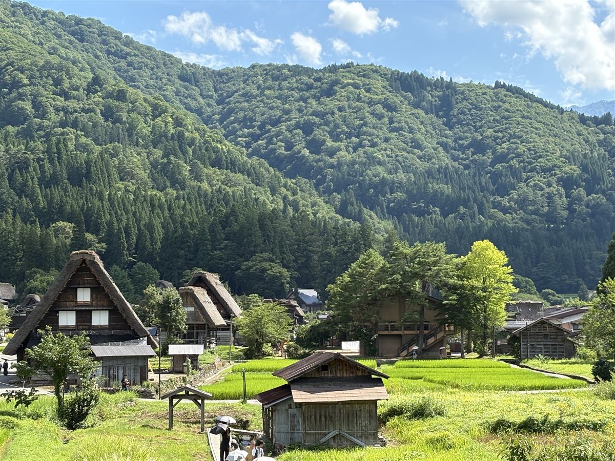 白川郷の合掌造り集落