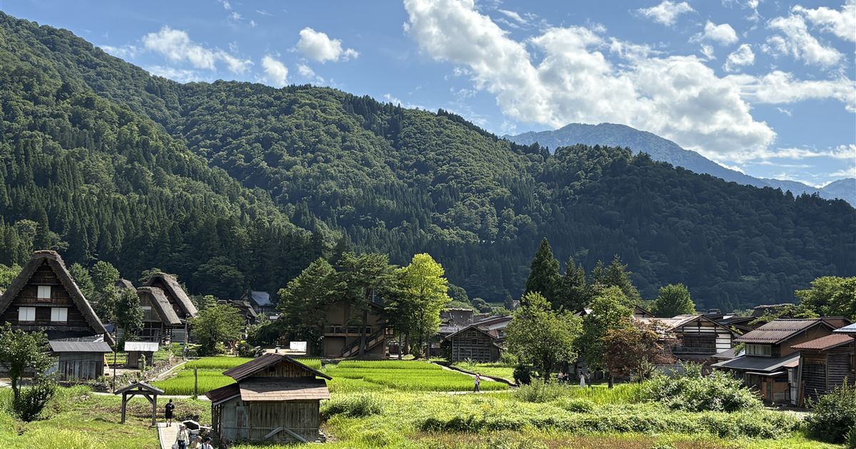 夏の白川郷 合掌造り集落と青々とした田んぼ