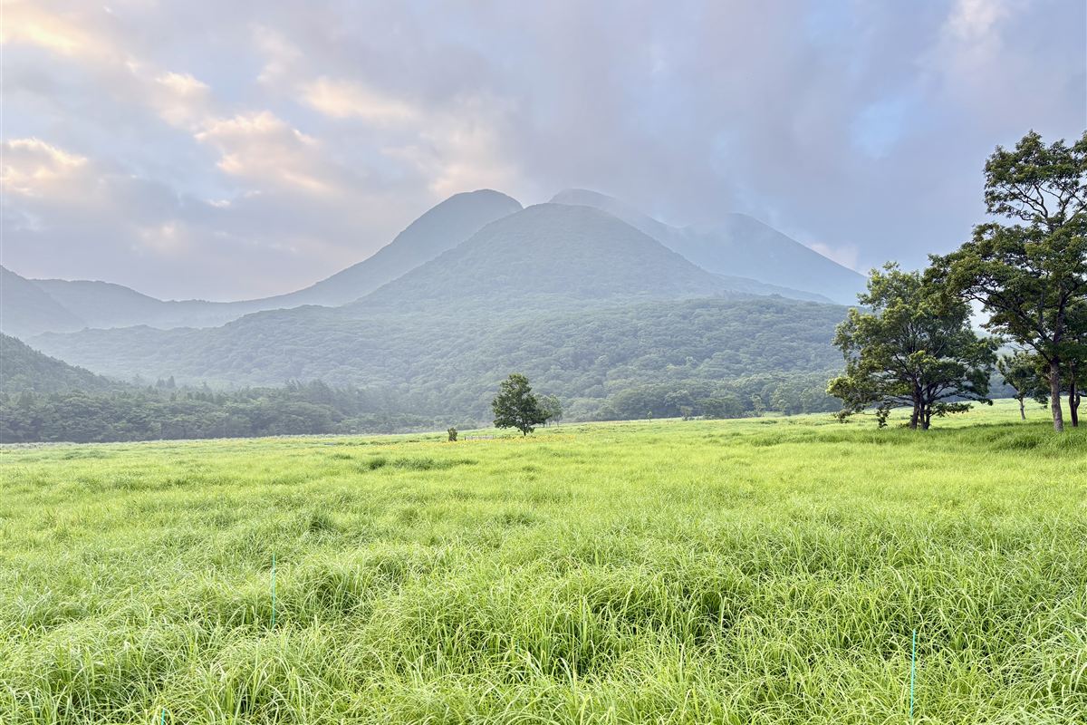 朝もやのタデ原湿原と三俣山
