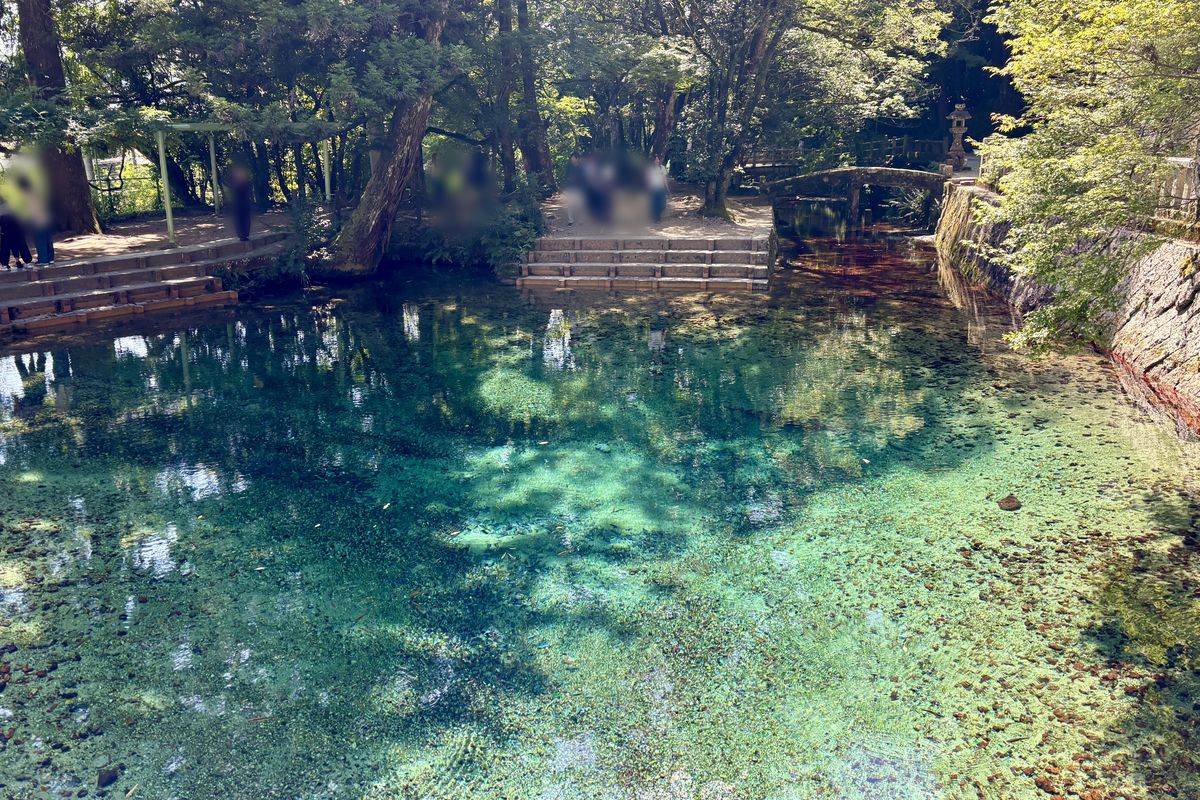 名水百選の別府弁天池