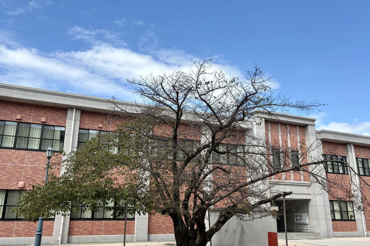 幹部候補生学校庁舎にある同期の桜の桜