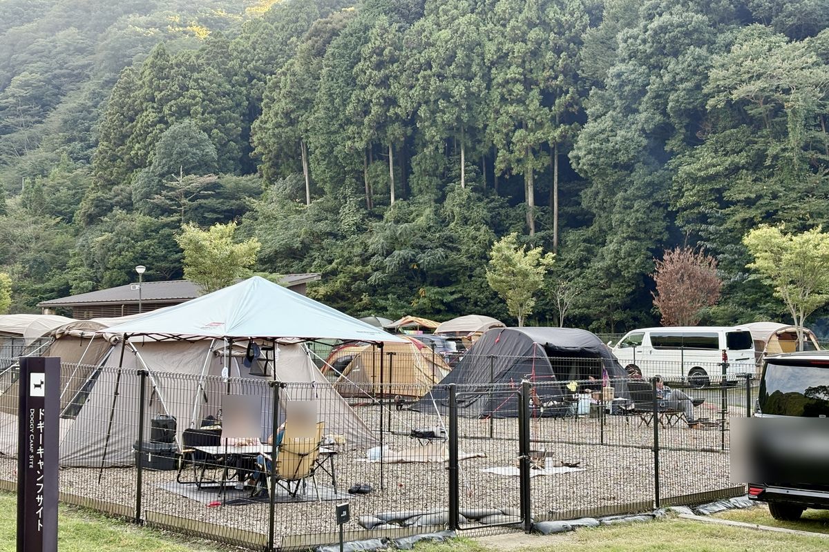 柵で囲われた五ケ山ベースキャンプのドギーキャンプサイト
