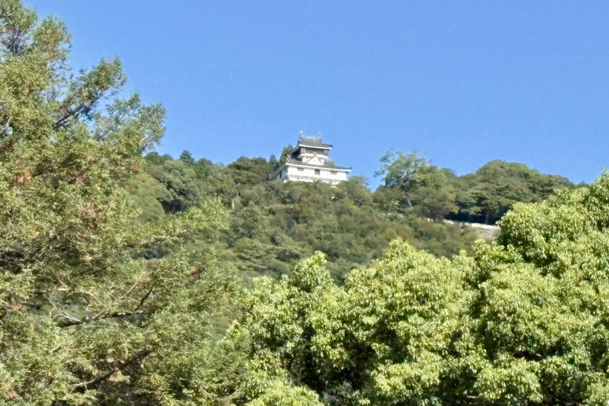 錦帯橋の近くから見上げた山の上の岩国城